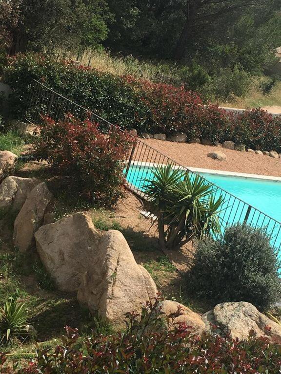Appartement Proche Des Plus Belles Plages Porto Vecchio Exterior foto